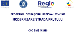 Banner Prutului